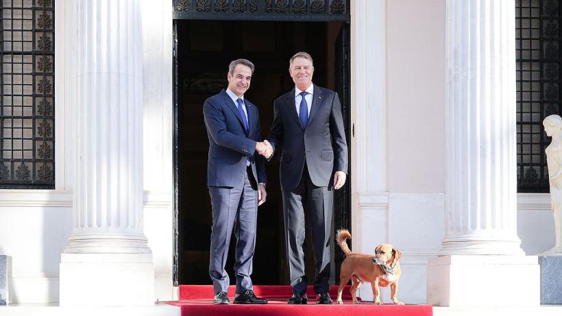 Câinele premierului grec, în întâmpinarea președintelui Klaus Iohannis