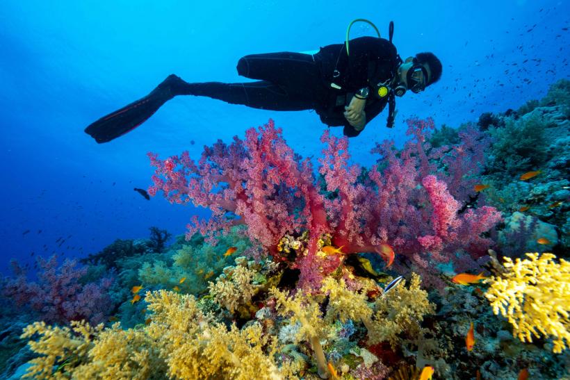 Cu piciorul amputat, s-a scufundat în Marea Roșie. Imagini incredibile 18813174