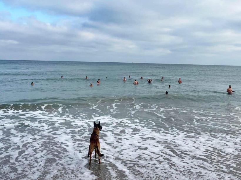 Senzații tari: Mai mulți constănțeni au făcut baie în mare în cadrul unui concurs de "bălăceală" 18813291