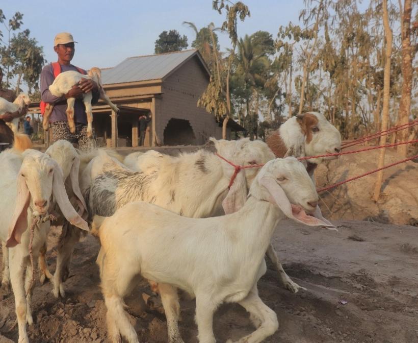 Erupție vulcanică în Indonezia. Mii de persoane au fost evacuate! 18813516