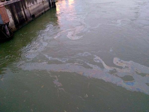 Alertă: Poluare cu petrol pe Dunăre pe o lungime de 6 km! 18813862