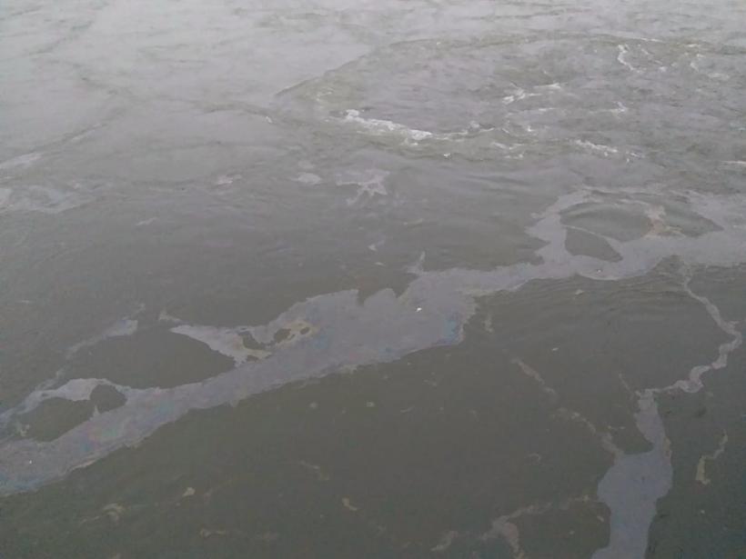 Alertă: Poluare cu petrol pe Dunăre pe o lungime de 6 km! 18813865