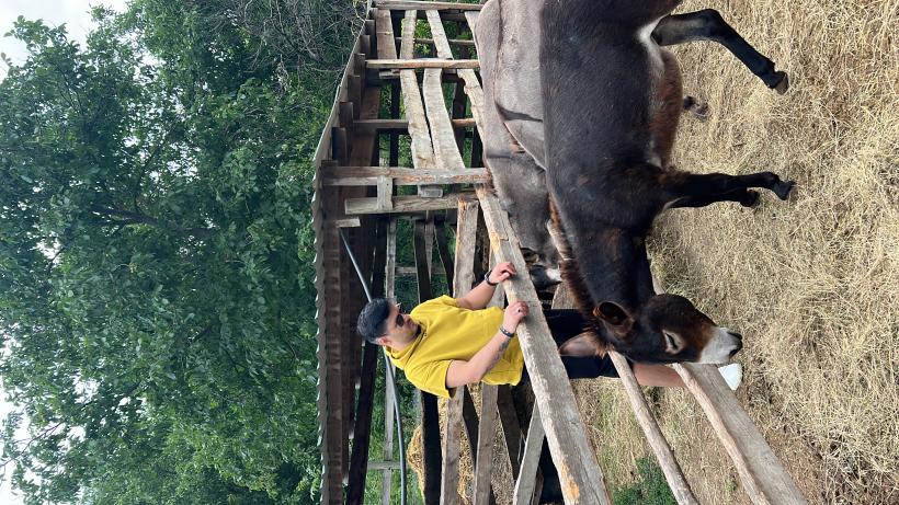 Ruby, Jo, SHIFT și What’s UP, alături de Liviu și Andrei,  în premieră în Republica Moldova, la Poftiți pe la noi! Poftiți la târg 18813792