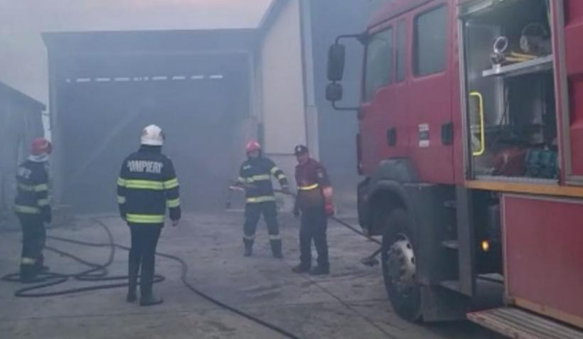 Incendiu la o fermă avicolă din județul Satu Mare