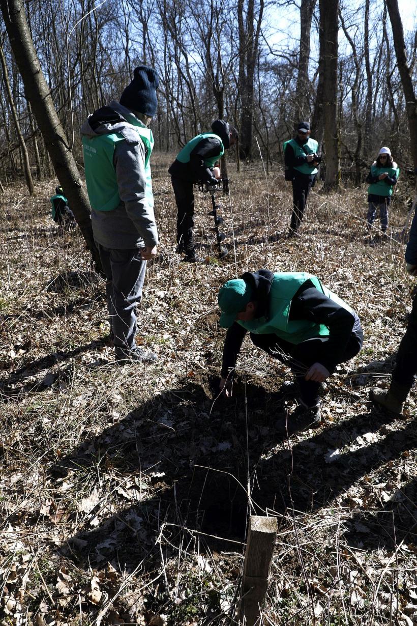 UE ne dă o mână de ajutor pentru a opri defrișările ilegale. Produsele provenite din această activitate intră pe lista neagră  18813778