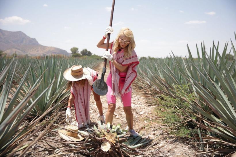 America Express – Drumul Aurului, cel mai dur reality show din România, revine din 15 ianuarie la Antena 1 18814082