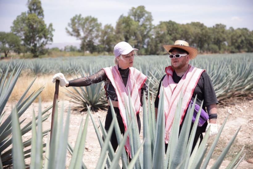 America Express – Drumul Aurului, cel mai dur reality show din România, revine din 15 ianuarie la Antena 1 18814086