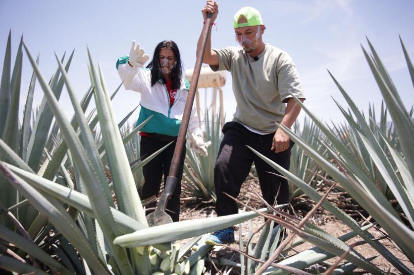 America Express – Drumul Aurului, cel mai dur reality show din România, revine din 15 ianuarie la Antena 1 18814094