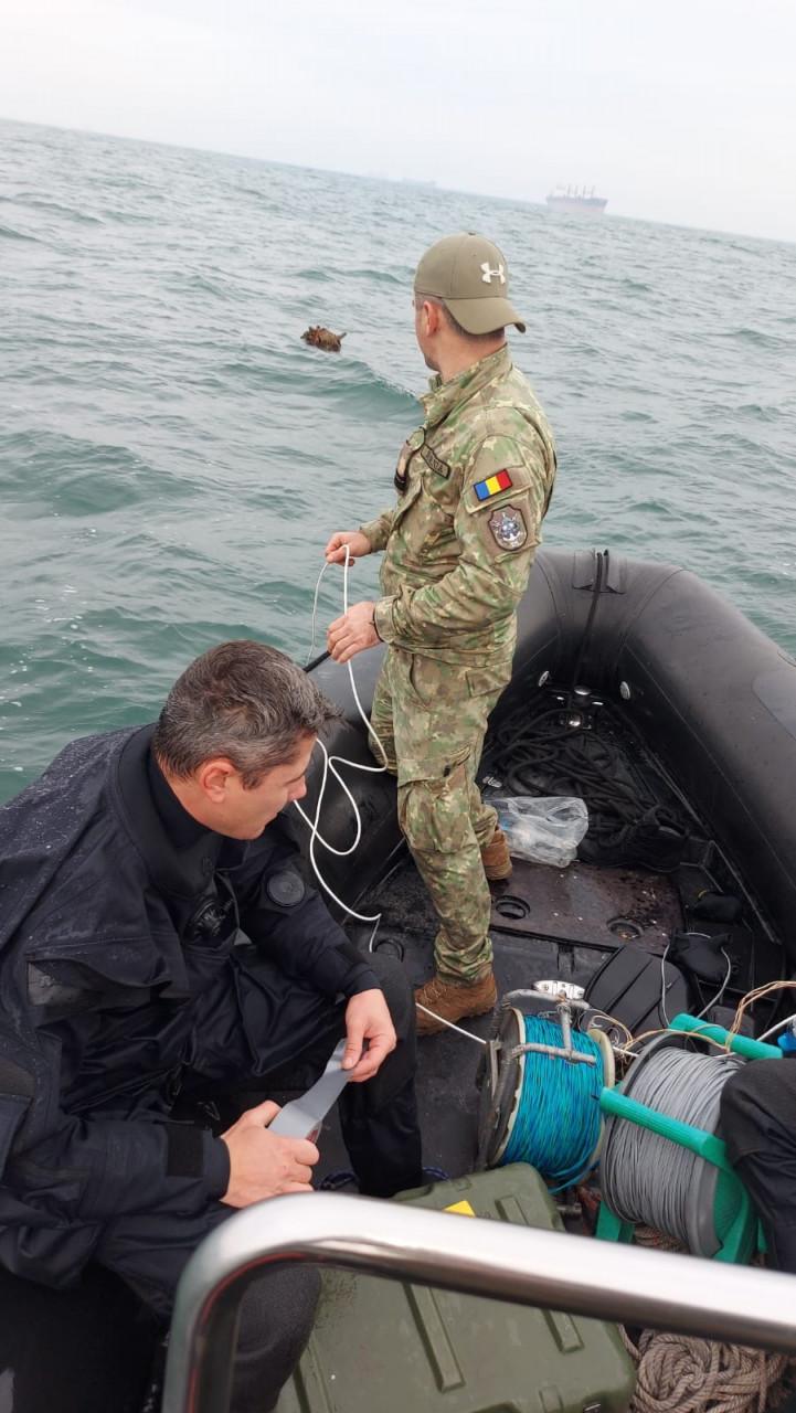 Alertă în Portul Constanța. O echipă de scafandri de luptă a intervenit de urgență 18814454