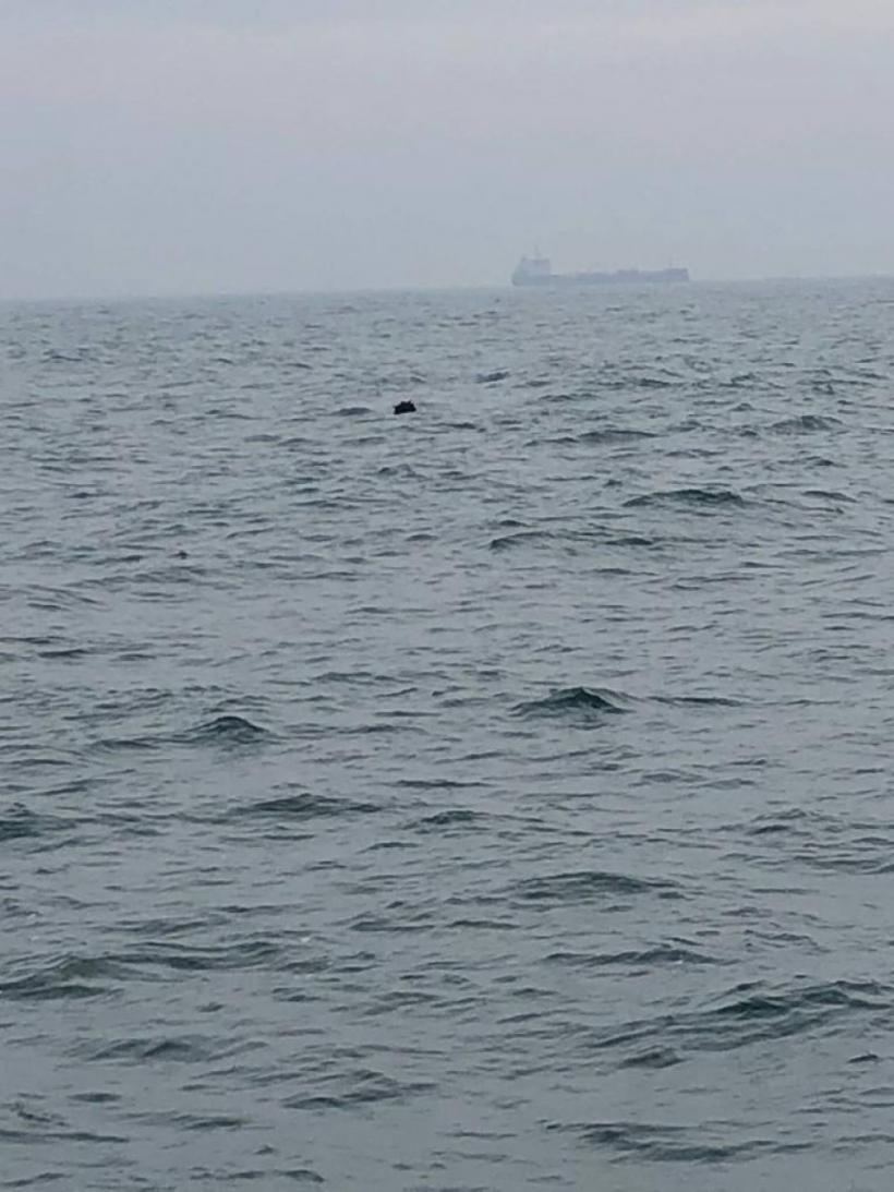 Alertă în Portul Constanța. O echipă de scafandri de luptă a intervenit de urgență 18814456