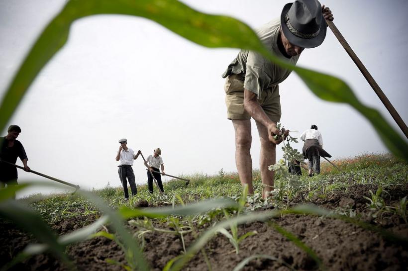 Creșterea producției agricole a UE o ia la vale în următorii 10 ani 18815051