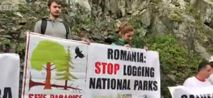Protest în Parcul Național Semenic: Agent Green acuză Romsilva că nu își respectă obligațiile