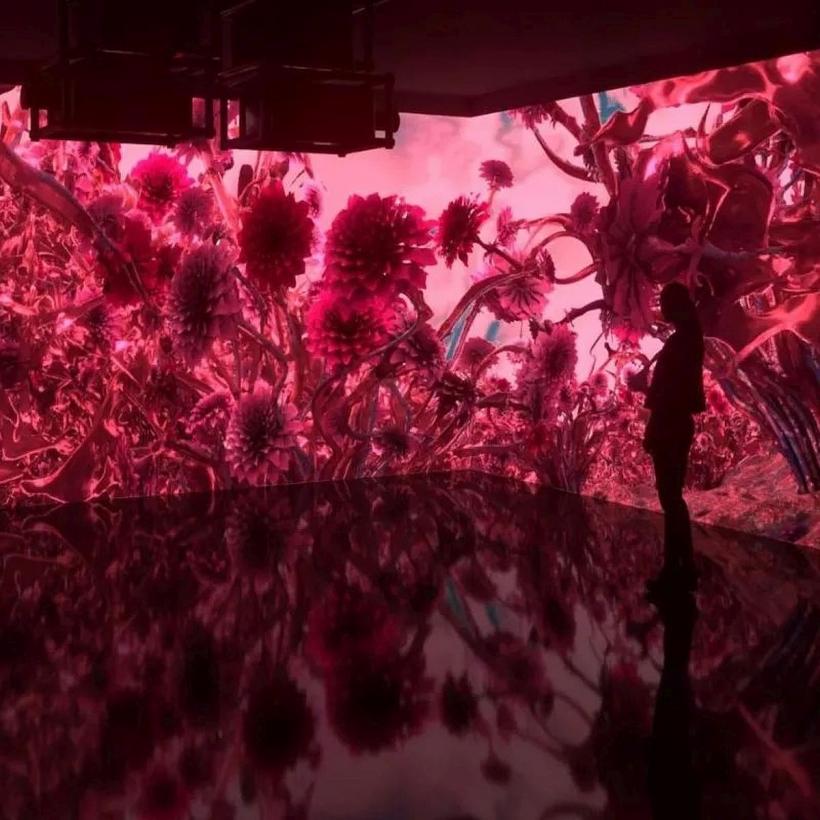 Culorile anului 2023. Ce spun specialiştii 18815408