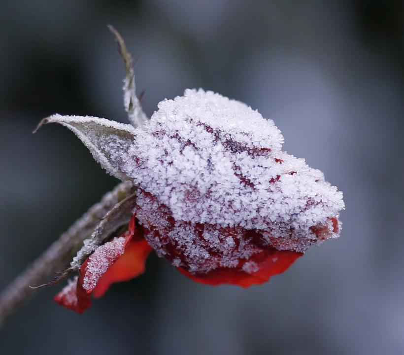 Val de aer polar deasupra României: Mâine, vremea se răcește semnificativ în toată țara 