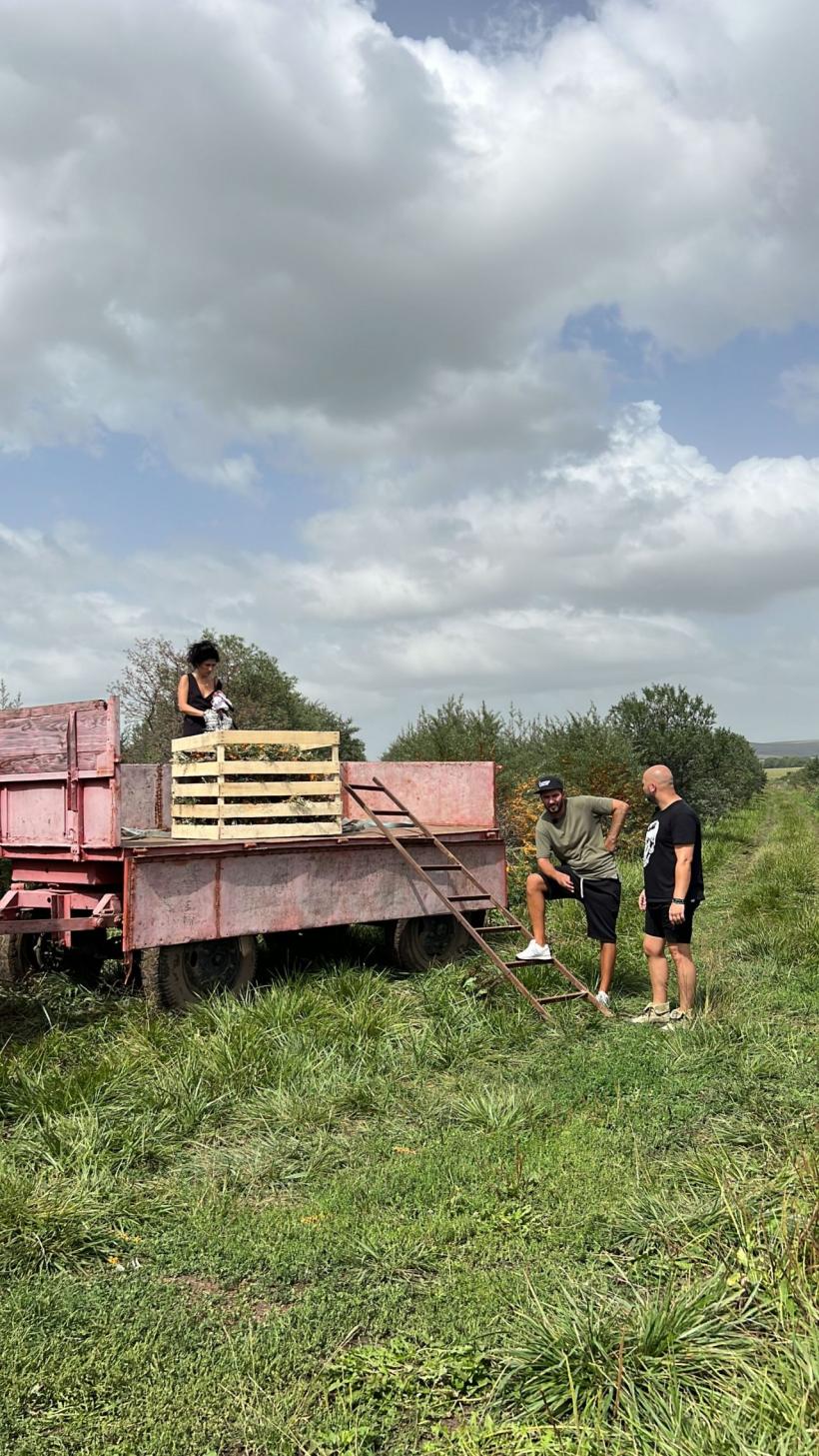 Romică Țociu preia ștafeta de la Nea Mărin la Poftiți pe la noi: Poftiți la târg. Cătălin Cazacu, Doinița Oancea și Paula Chirilă îl însoțesc la Piatra Neamț 18816062