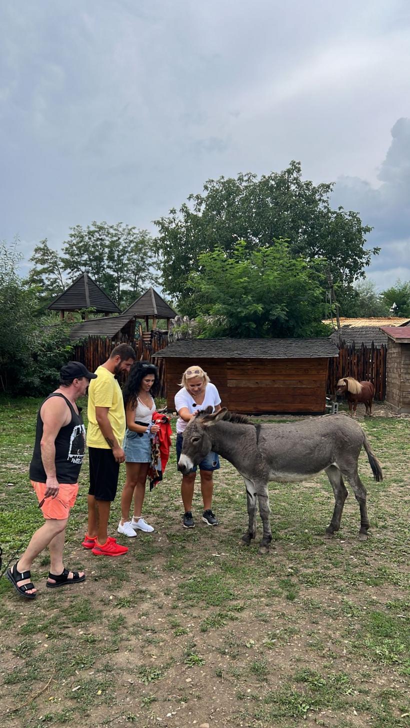 Romică Țociu preia ștafeta de la Nea Mărin la Poftiți pe la noi: Poftiți la târg. Cătălin Cazacu, Doinița Oancea și Paula Chirilă îl însoțesc la Piatra Neamț 18816064