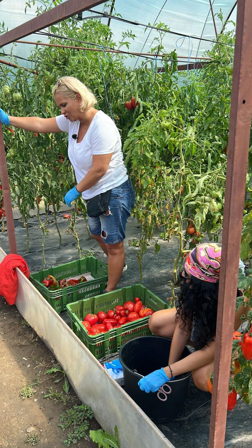 Romică Țociu preia ștafeta de la Nea Mărin la Poftiți pe la noi: Poftiți la târg. Cătălin Cazacu, Doinița Oancea și Paula Chirilă îl însoțesc la Piatra Neamț 18816067