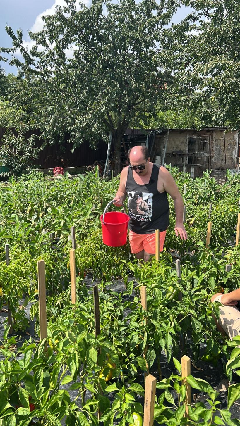 Romică Țociu preia ștafeta de la Nea Mărin la Poftiți pe la noi: Poftiți la târg. Cătălin Cazacu, Doinița Oancea și Paula Chirilă îl însoțesc la Piatra Neamț 18816068