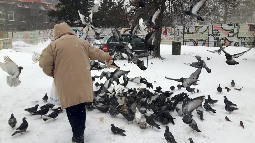 21 decembrie 2022: Solstiţiul de iarnă 18816376