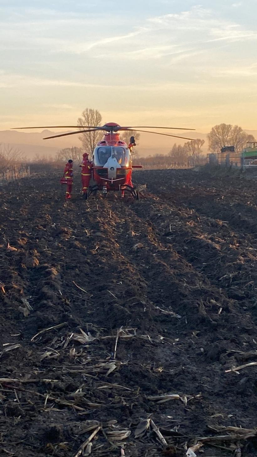 În timp ce tăia lemne, unui bărbat i-a sărit o bucată în cap. Omul a căzut la pământ, incoștient 18817661
