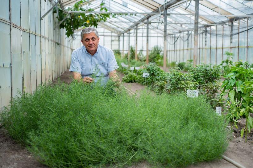 „Nici moartea nu mai e a noastră, o importăm plătind bani grei pe alimente chimizate!” 18817471