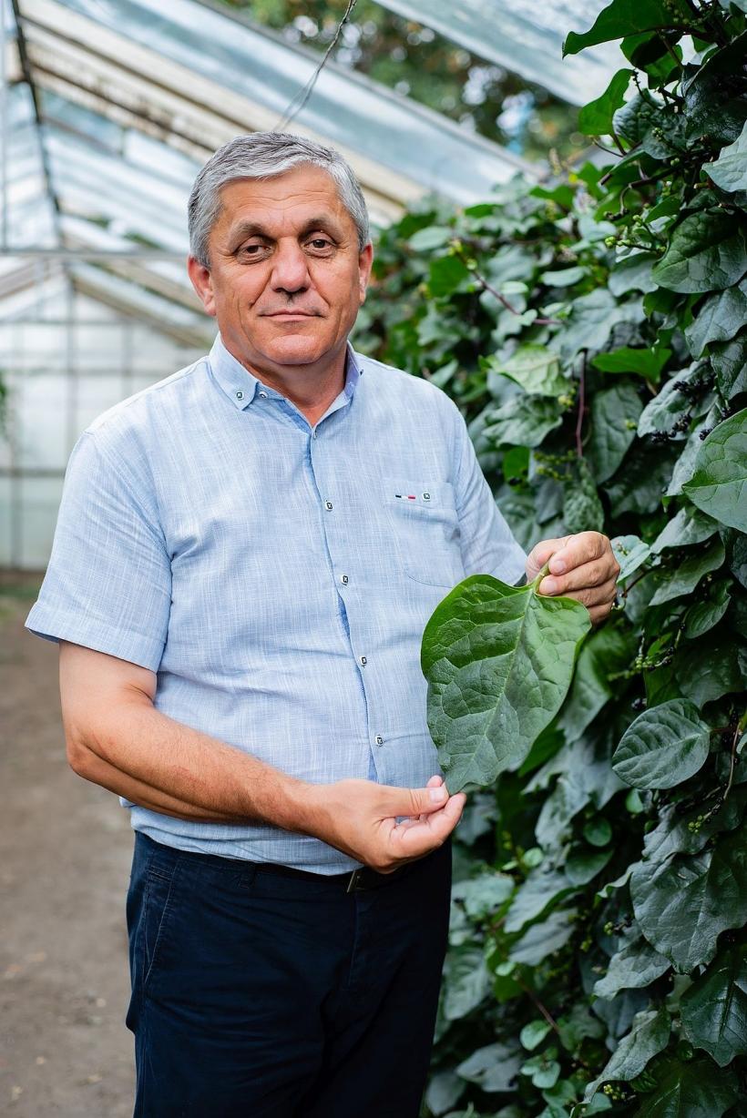 „Nici moartea nu mai e a noastră, o importăm plătind bani grei pe alimente chimizate!” 18817472