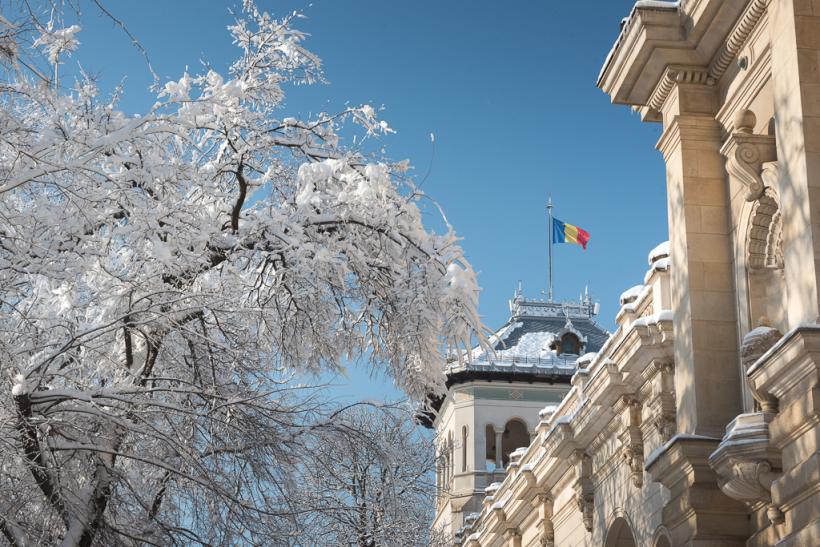 Cât a cheltuit Cotroceniul pe flori, garduri și bilete de avion, în anul crizelor multiple  18817657