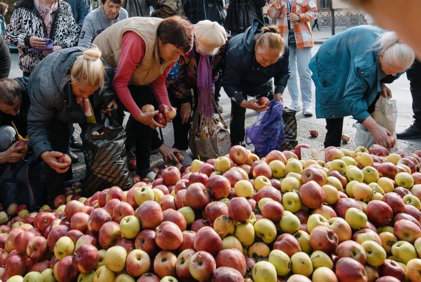Unu din zece mere, cel mai consumat fruct de către români, vine din Polonia