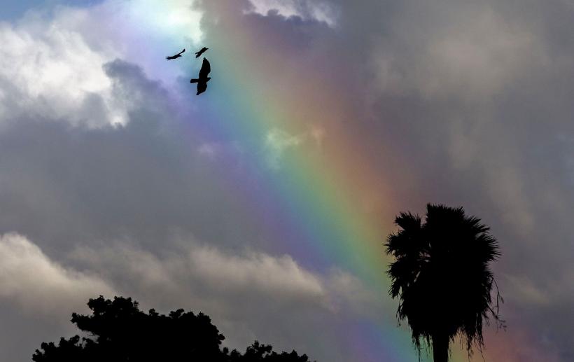 Furtuna din California lasă peste 560.000 de locuințe fără curent electric! 18819157