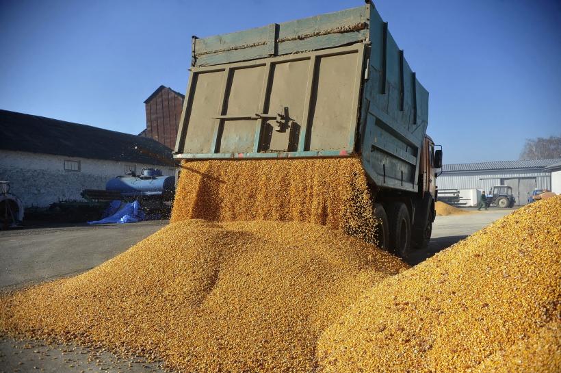 Exporturile de cereale din Ucraina s-au redus cu 30%