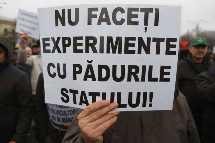 Protest de amploare în Capitală: &quot;Nu distrugeți pădurile României!&quot;