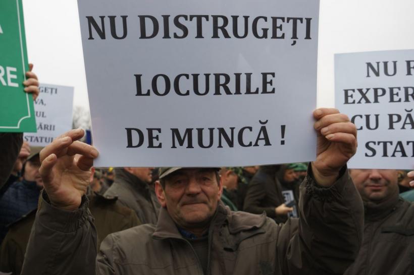 Protest de amploare în Capitală: "Nu distrugeți pădurile României!" 18819870