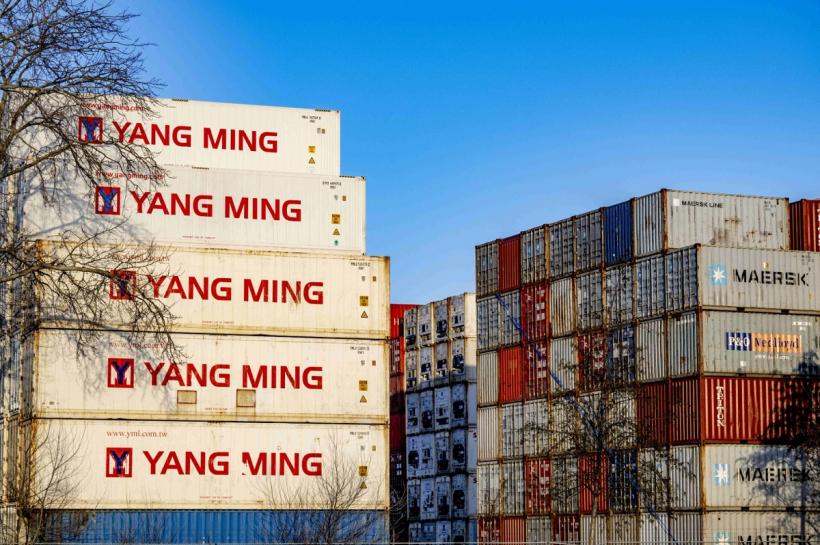 Paradisul drogurilor: Anvers și Rotterdam confiscă cinci procente din producția mondială de cocaină! 18820033