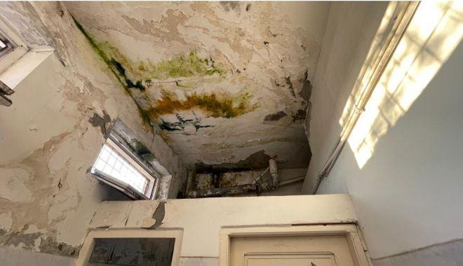 Imagini parcă desprinse dintr-un film horror într-o Secție de Poliție din Constanța. „Am fost șocat, sunt condiții inumane!” 18820106