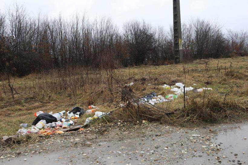 În căutarea romilor suedezi 18820482