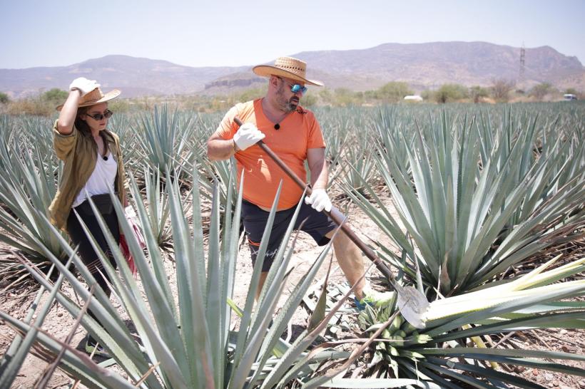 Premiera America Express, lider detașat de audiență. Cea mai bună lansare din cele 5 sezoane ale reality show-ului 18820665