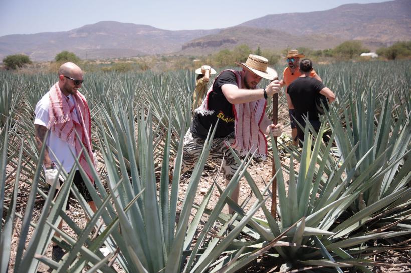 Premiera America Express, lider detașat de audiență. Cea mai bună lansare din cele 5 sezoane ale reality show-ului 18820666