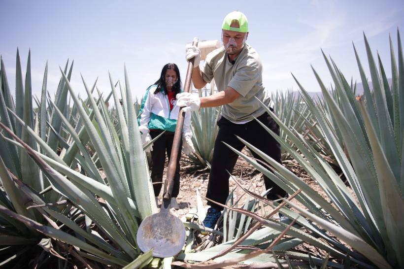 Premiera America Express, lider detașat de audiență. Cea mai bună lansare din cele 5 sezoane ale reality show-ului 18820667