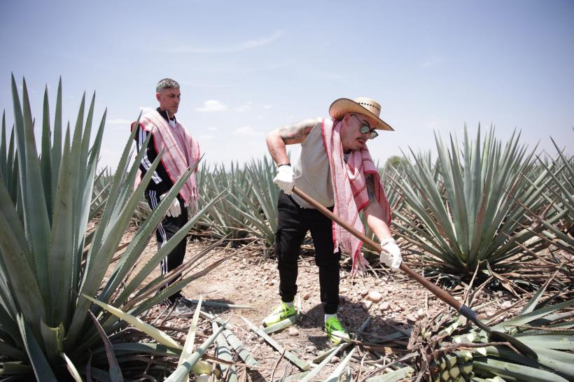 Premiera America Express, lider detașat de audiență. Cea mai bună lansare din cele 5 sezoane ale reality show-ului 18820669