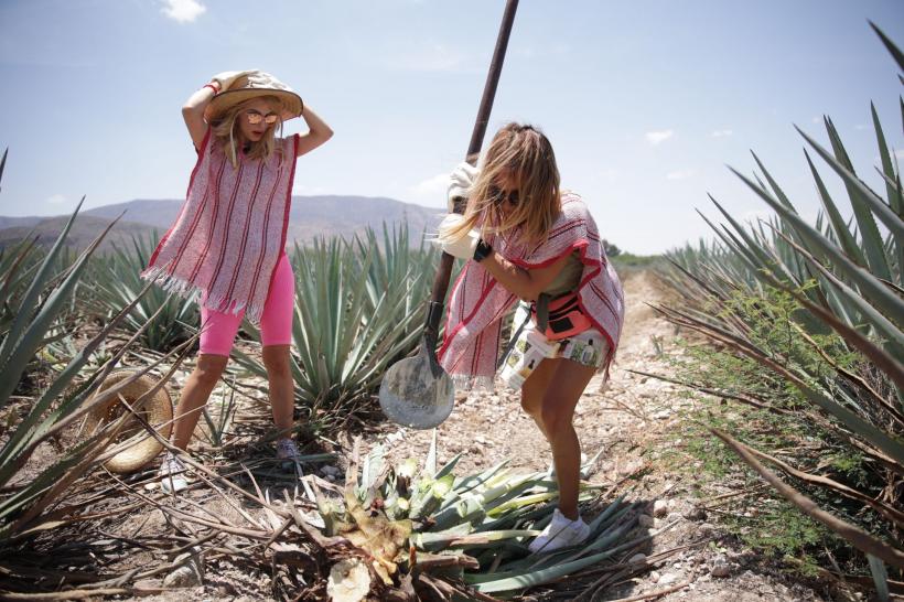 Premiera America Express, lider detașat de audiență. Cea mai bună lansare din cele 5 sezoane ale reality show-ului 18820670