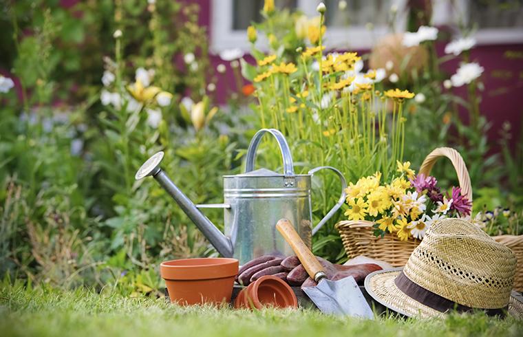 5 sfaturi pentru a vă pregăti grădina pentru primăvară - Sfaturi de la eGradinarit