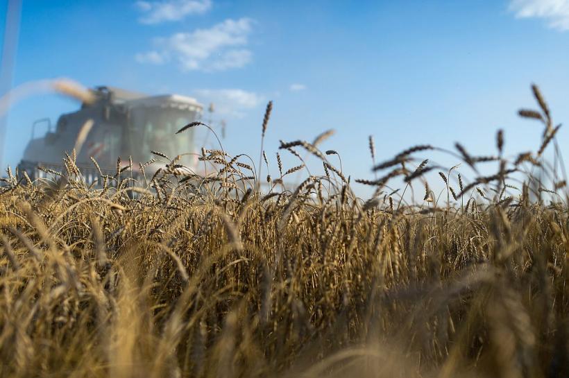 România se îndreaptă  rapid spre foamete 18820847