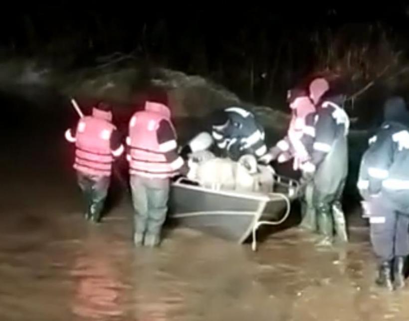 200 de oi au rămas izolate de ape după ce Crișul Alb s-a revărsat 18821493