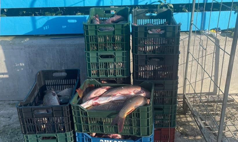 VIDEO Braconaj de proporții pe Sinoe! Poliția de frontieră, în acțiune 18821788