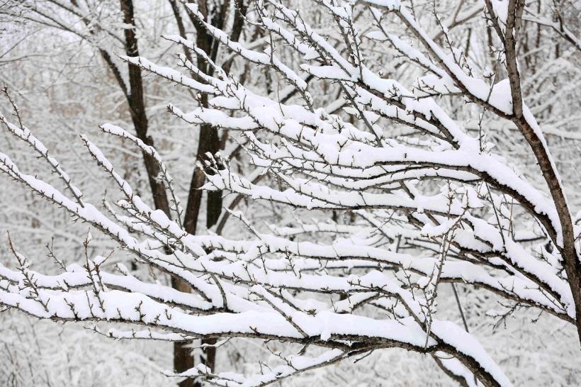 -53 de grade Celsius în China! 18821959