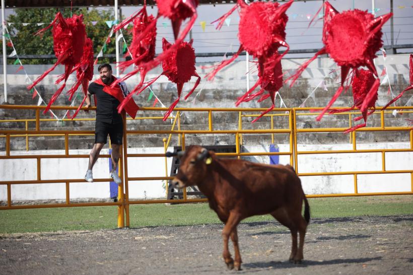 America Express, din nou lider de audiență. Urmează în cursa curajului suprem: lupta cu taurul și proba cu electroșocuri! 18821991