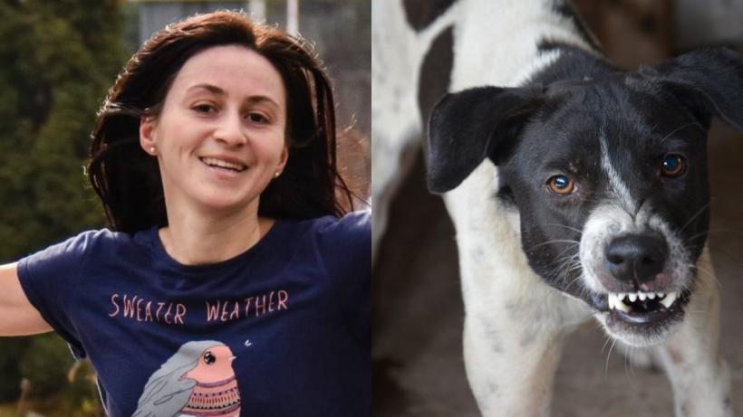 Fost consilier general la Primăria Capitalei: „Este plauzibil ca Ana Oros, femeia care a murit sfâșiată de câini în zona Lacul Morii, să fi fost victima unor câini antrenați să ucidă”
