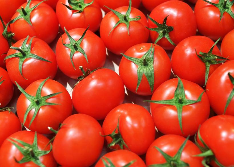  5 ani şi peste 1 miliard de lei cheltuiţi pe programul „Tomata“ 