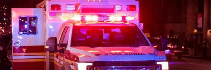 Viața bate filmul: Un câine și-a împușcat mortal stăpânul, în Kansas! 18822178