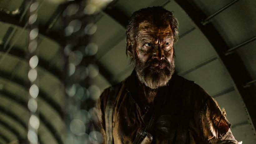 Cinematografia nordică, celebrată la TIFF 2023 18822282